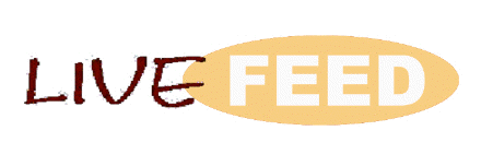 Live Feed logo